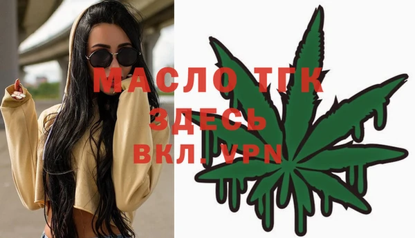 молекула духа Ладушкин
