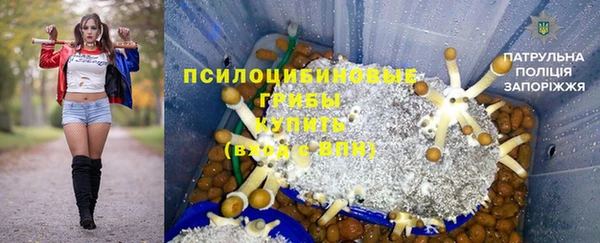 крисы Магадан