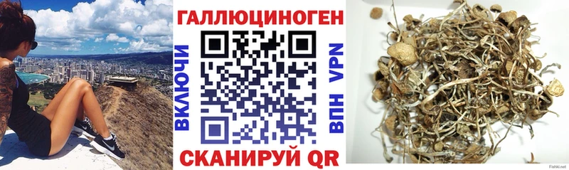 Галлюциногенные грибы мицелий  магазин продажи наркотиков  Мосальск 