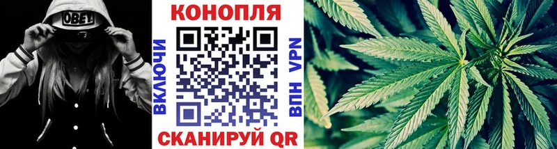Бошки марихуана SATIVA & INDICA  купить наркотик  Мосальск 